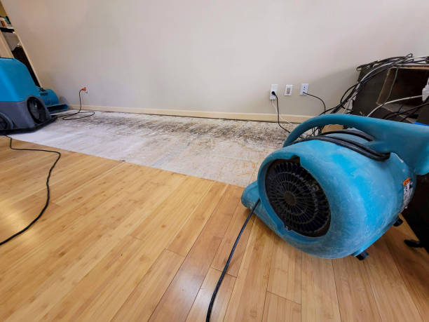 Professional Flood Damage Cleanup technician working in Mosinee, WI